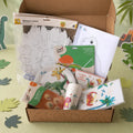 Kit anniversaire dinosaure 3-4 ans